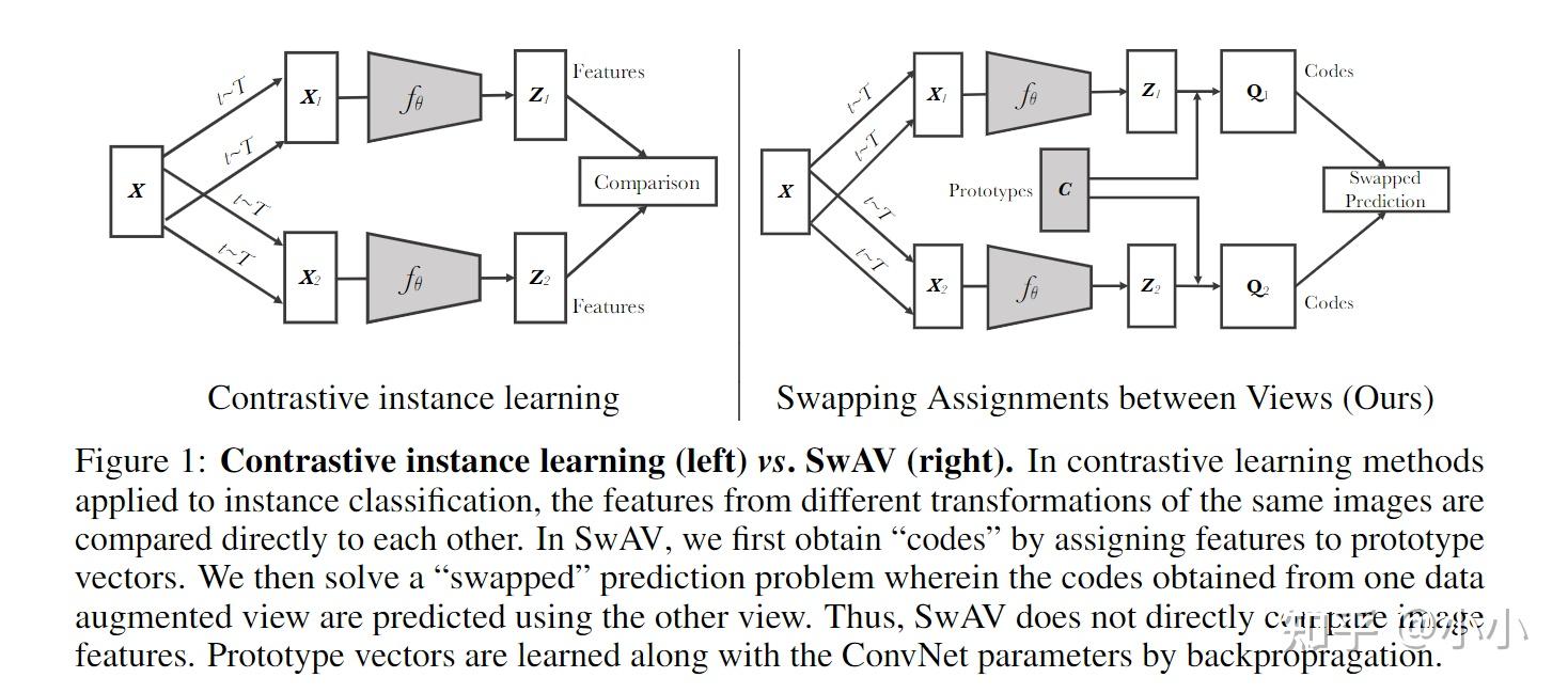  contrast learning 