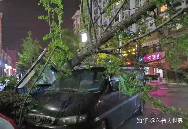 江苏南通突起14级大风拔树倒屋极为罕见这股强风从哪来的