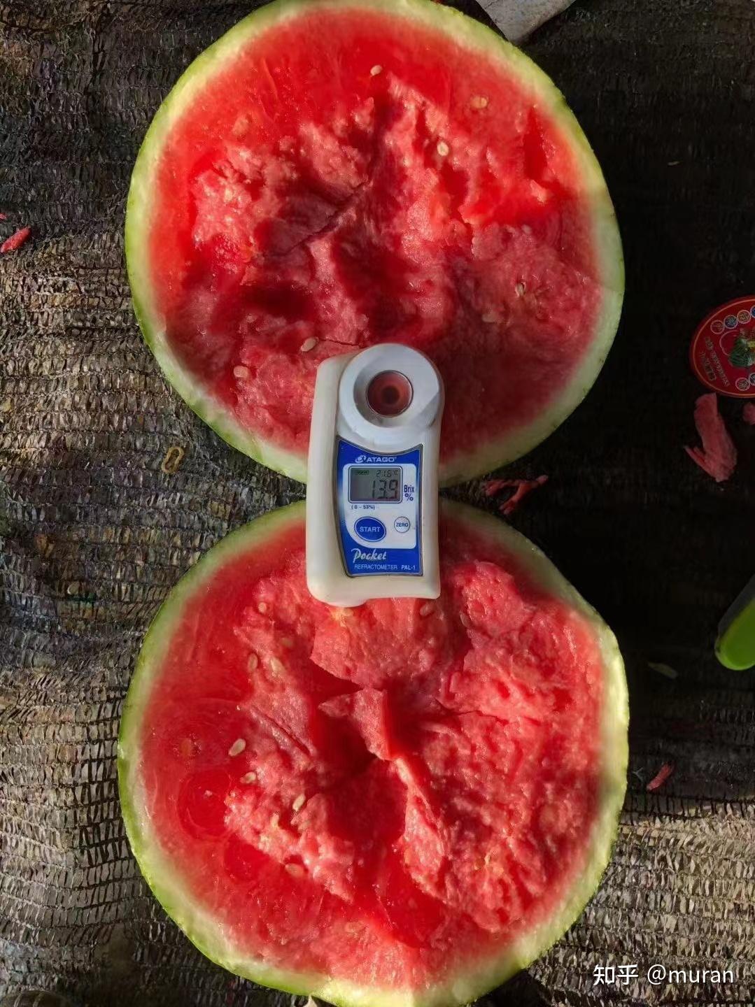 1包糖西瓜的口感图片