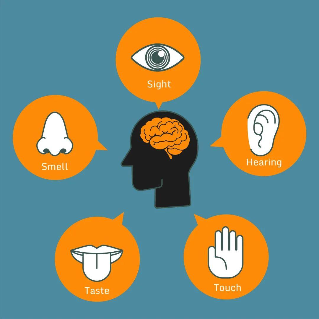 干货如何通过五感创造更具有刺激性的设计