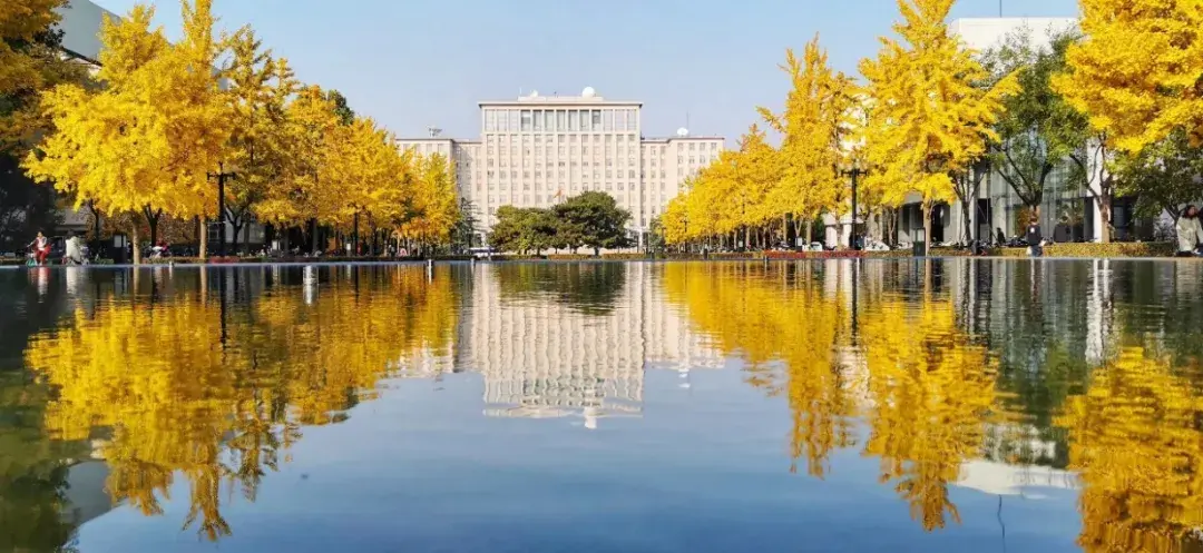 改造项目学堂路是清华大学的南北主干道,也是校园最繁忙的主干道之一