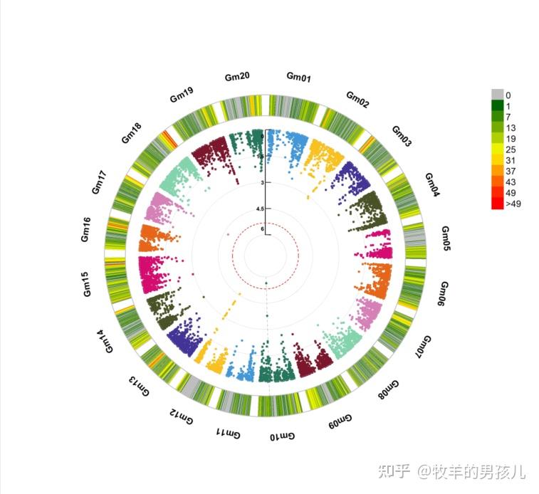 Gwas R Code R语言rMVP包做GWAS(全基因组关联分析)分析实例 - 知乎