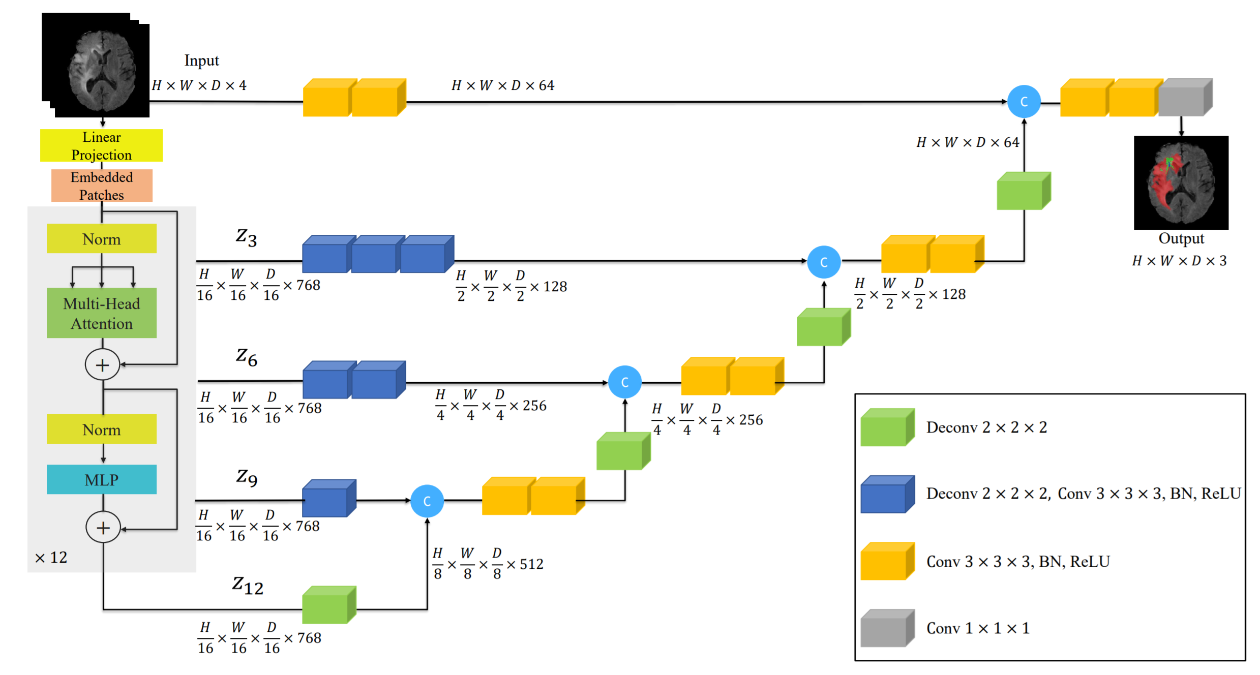 论文速递1113医学图像分割方向优质的论文及其代码
