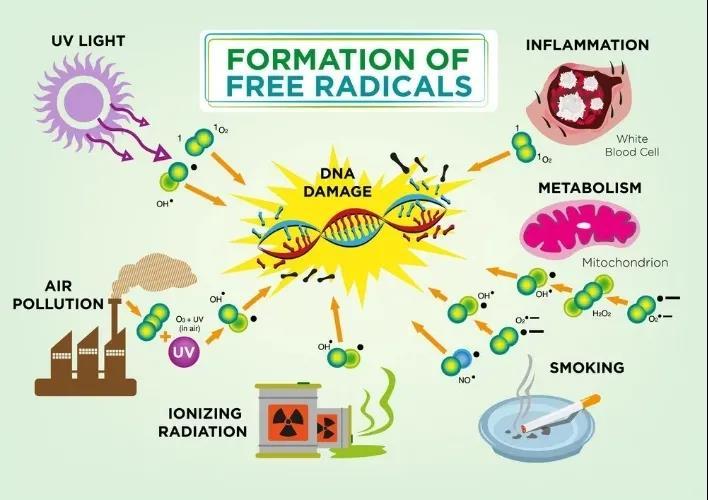 v2-07774abb5467e4dac201b03fdcf32b05_1440w.jpg?source=172ae18b
