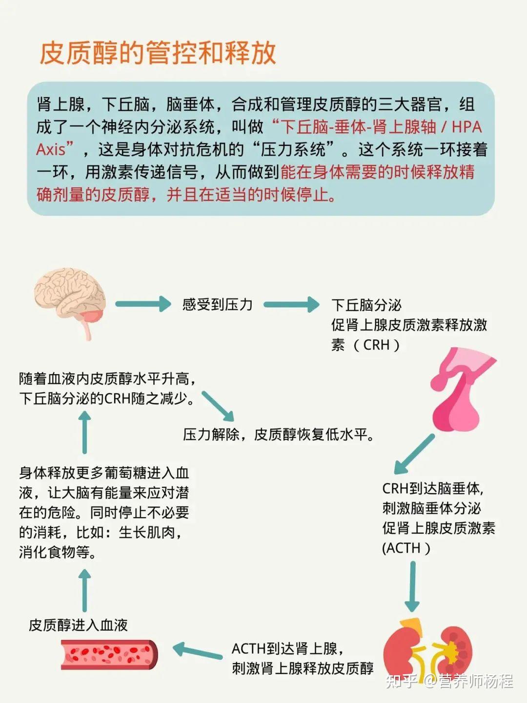 『酮流感』,你必须知道的低碳饮食适应期 - 知乎