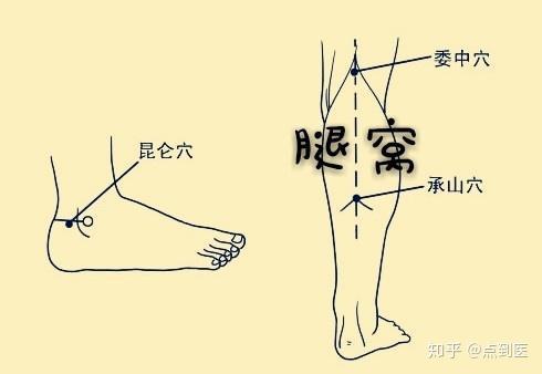 身体的耳颈腰脐腿脚都有个治病窝早用早获益