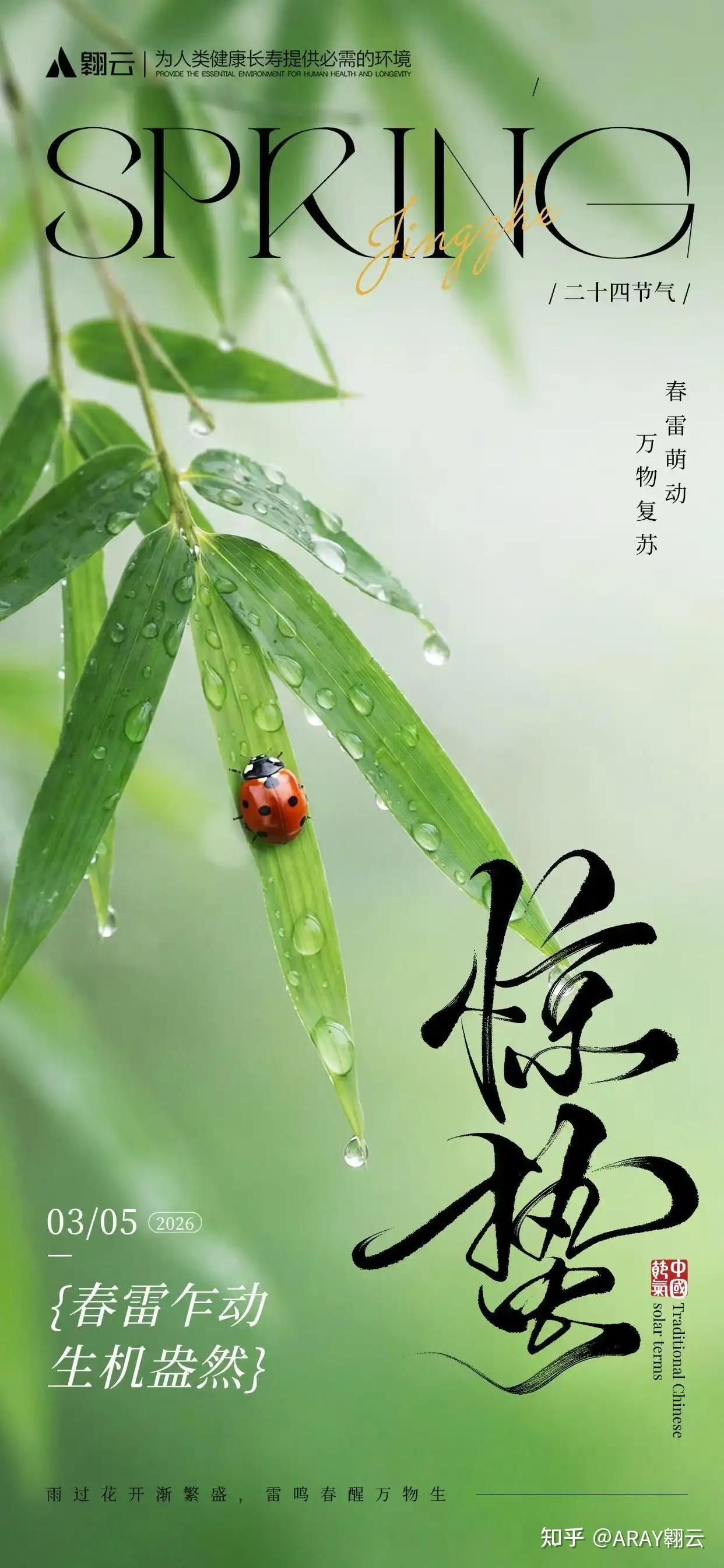 惊蛰启春,五恒守安|把自然春意,安进每一寸日常