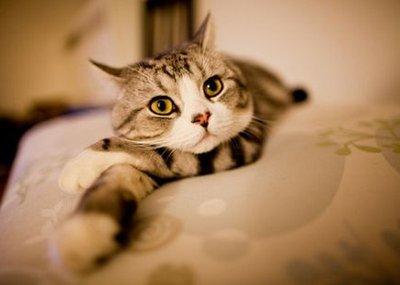 v2-07b3c48274782a17c4229efdcb47de69_1440w.jpg?source=172ae18b