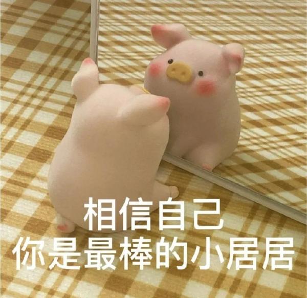 猪的搞笑图片或者表情包 - 知乎