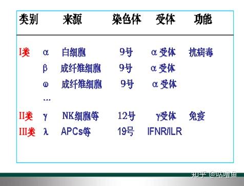 干扰素分类图片