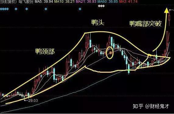 股票一旦出现"海豚嘴"形态,将是大牛股起飞的前奏,坚定持股,吃透后市