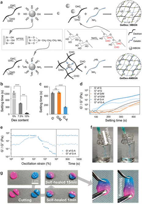 afm上海交通大学崔文国苏州大学顾勇陈亮一种明胶骨胶水
