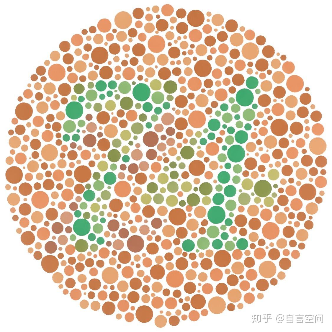 色盲眼中的世界究竟是什么样子
