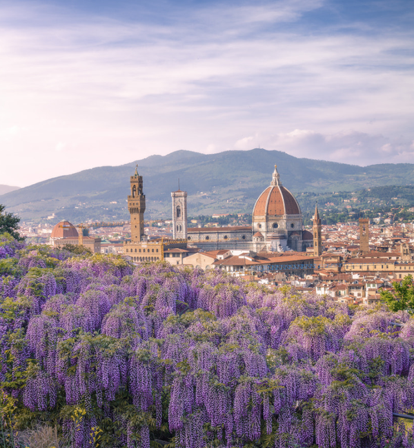 摄影学习意大利佛罗伦萨的最佳照片陈阅视觉