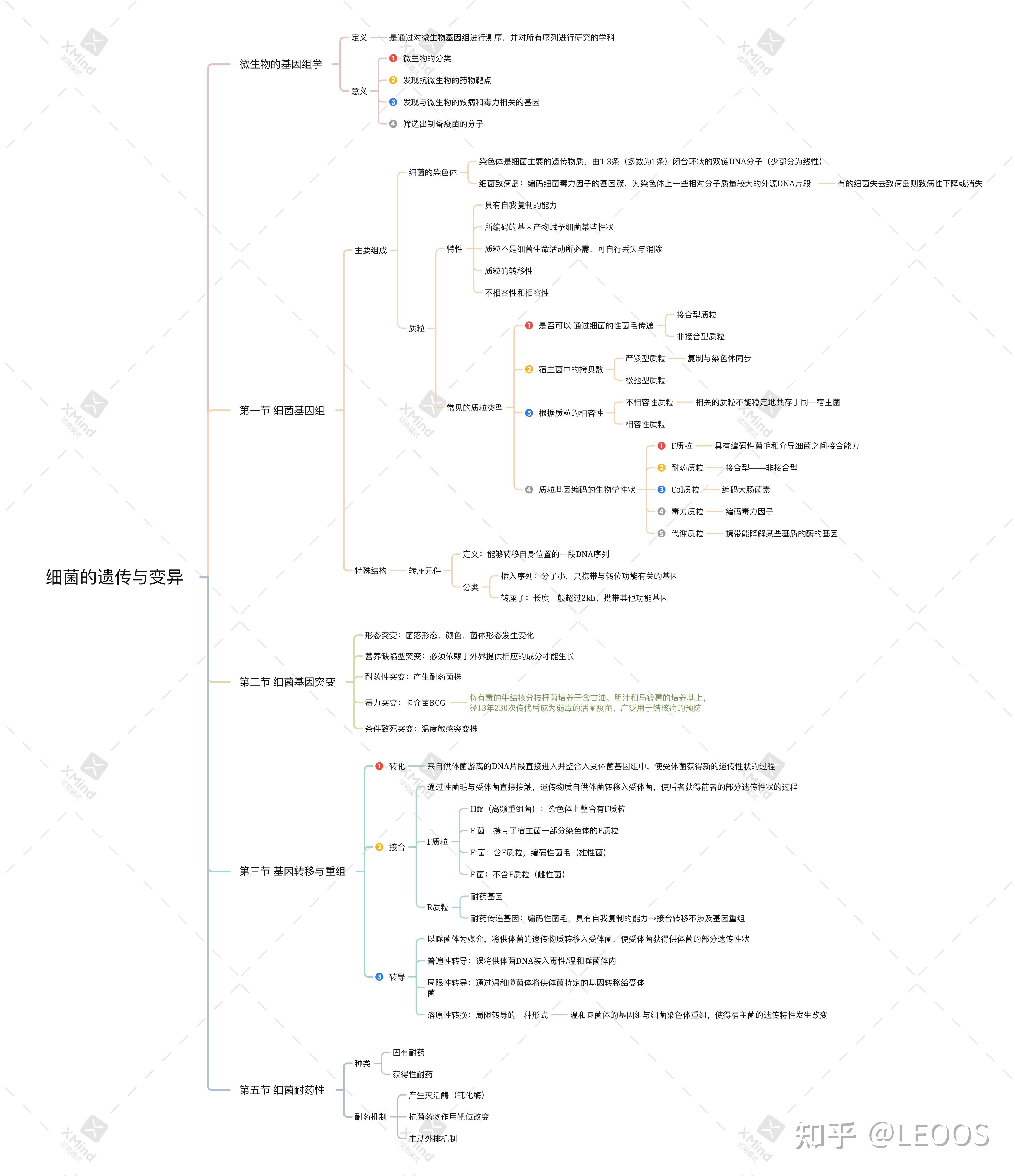 微生物类群思维导图图片