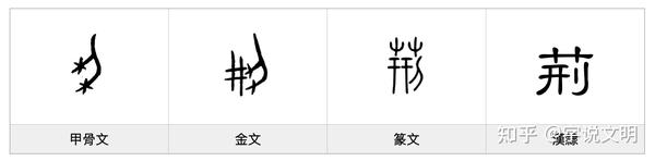 荆——每日一字·艸部字 - 知乎