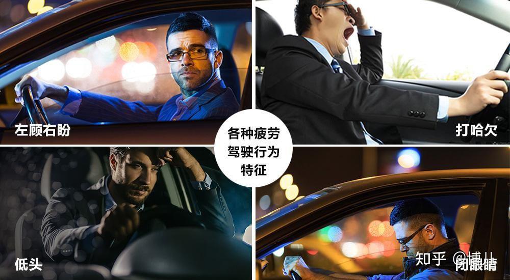 博哥提醒打呼也能培养马路杀手