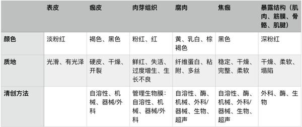 基础知识:清创在伤口愈合中的重要作用 - 知乎