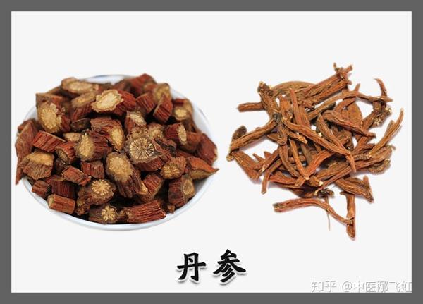 丹参的功效虽然多,但你知道它的食用禁忌和方法吗? - 知乎