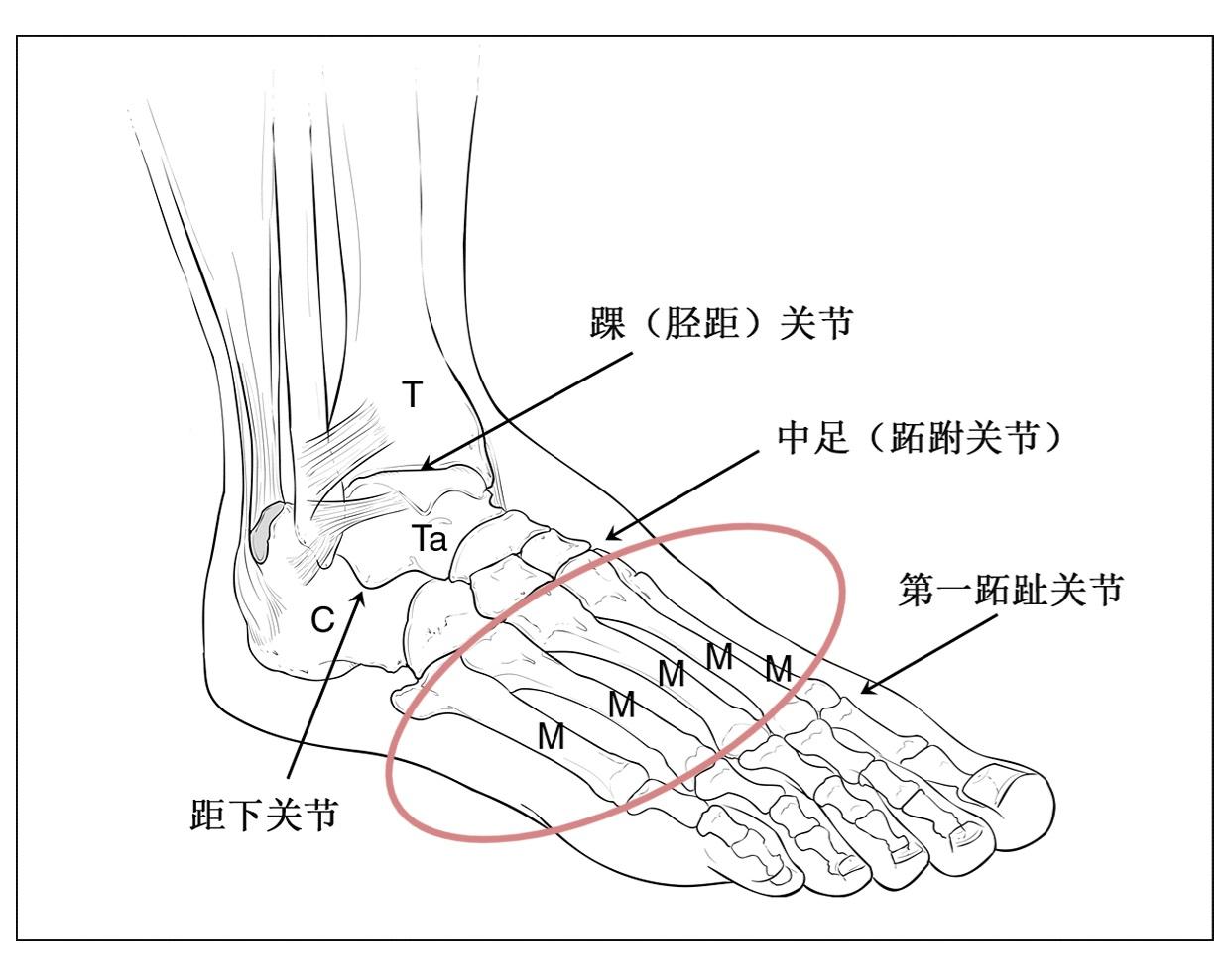 足够科学