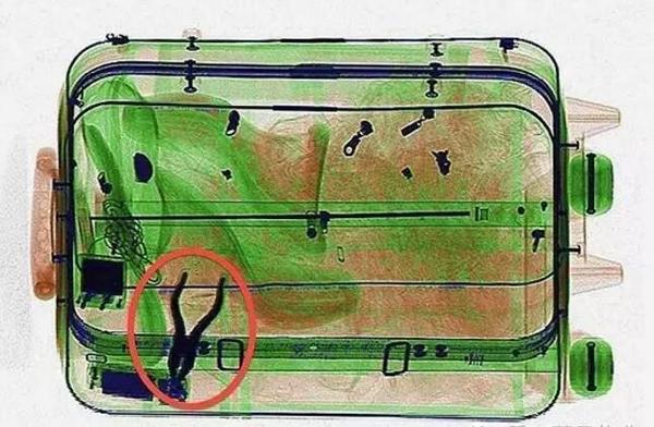 在安检机的眼里毒品原来是酱紫的