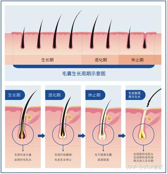以上就是米诺地尔溶液的生发原理,那么针对发友的私信,使用多久才能
