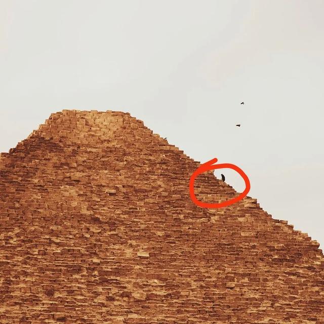 可以爬到金字塔顶端吗 v2-086edb146ee8e836bb8ba700beef73fe_r.jpg