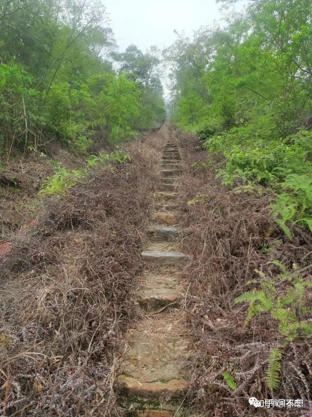 鶴山燒烤好去處七甕井風景區