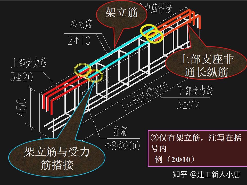筋三维立体构造图详解,全是ppt格式,通过全彩三维图解和文字叙述的