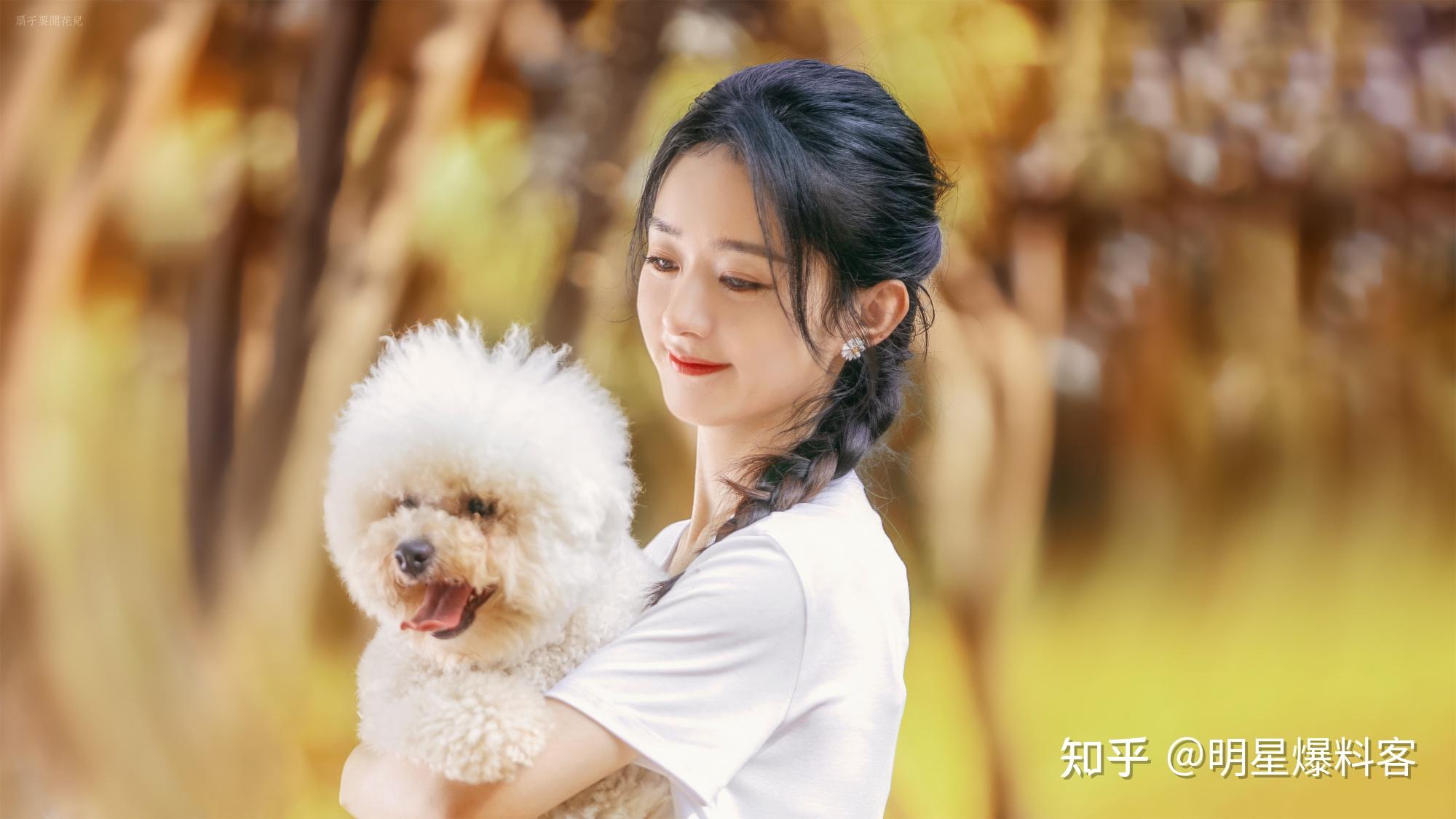 娱乐点评赵丽颖李现关晓彤范丞丞李菲儿虞书欣