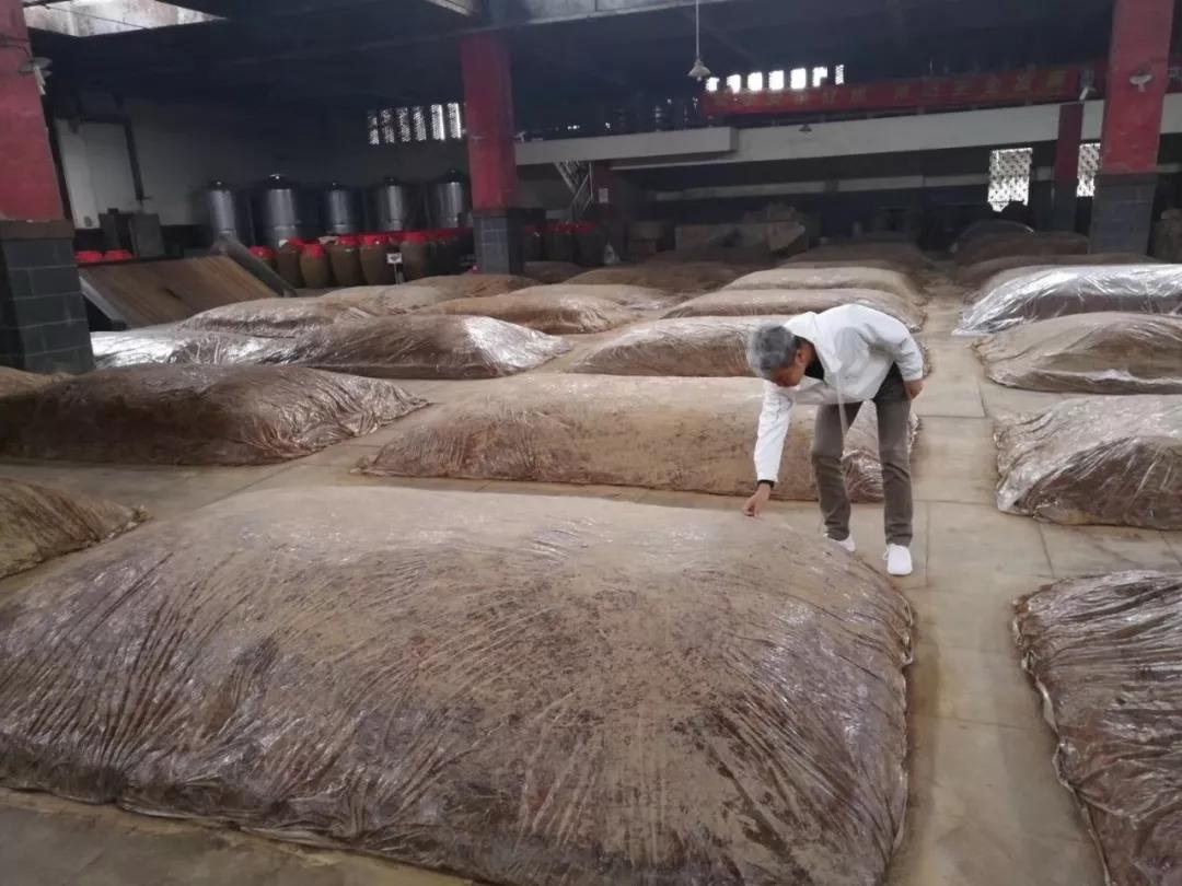 一成不变的白酒终于在这家酒厂手下脱胎换骨了