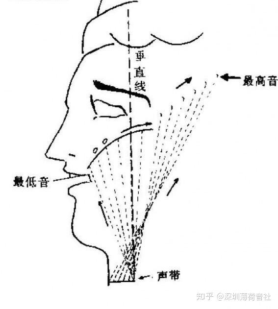 突破高音——咽音具体训练步骤!