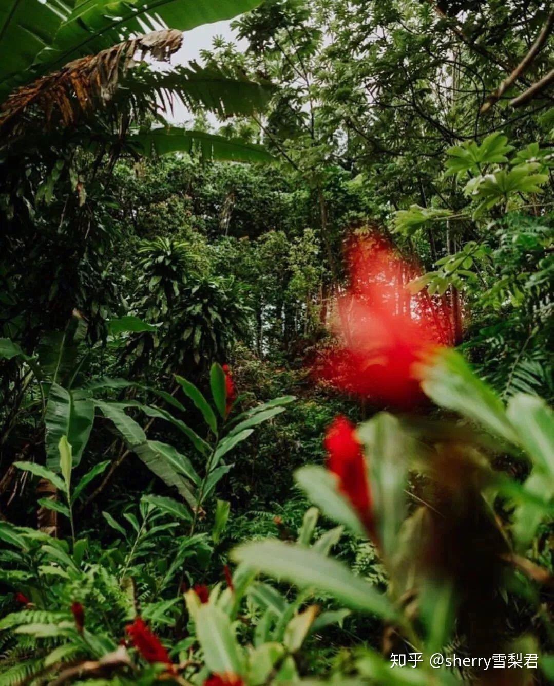 在失落的印加文明和狂野的自然景观中,领略这个南美风情小国的独特魅力
