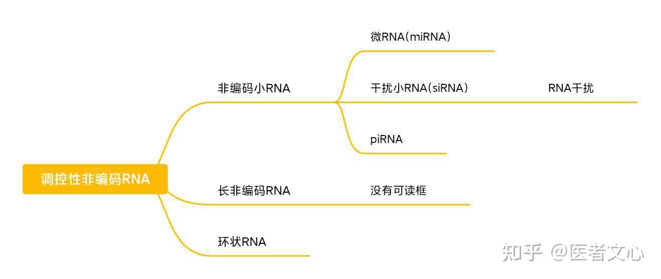  rna 