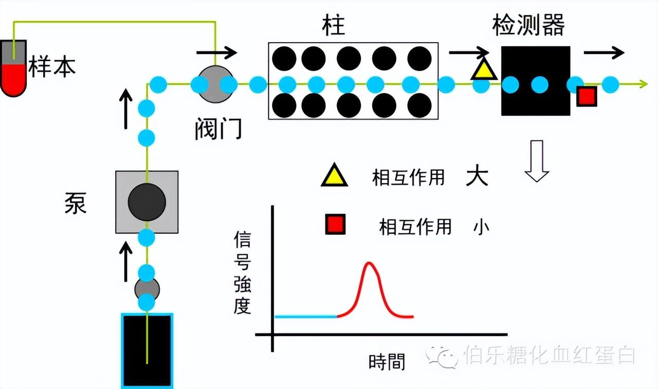 美國,瑞典及日本等國家均將其作為hba1c標準化參考系統的標準檢測方法