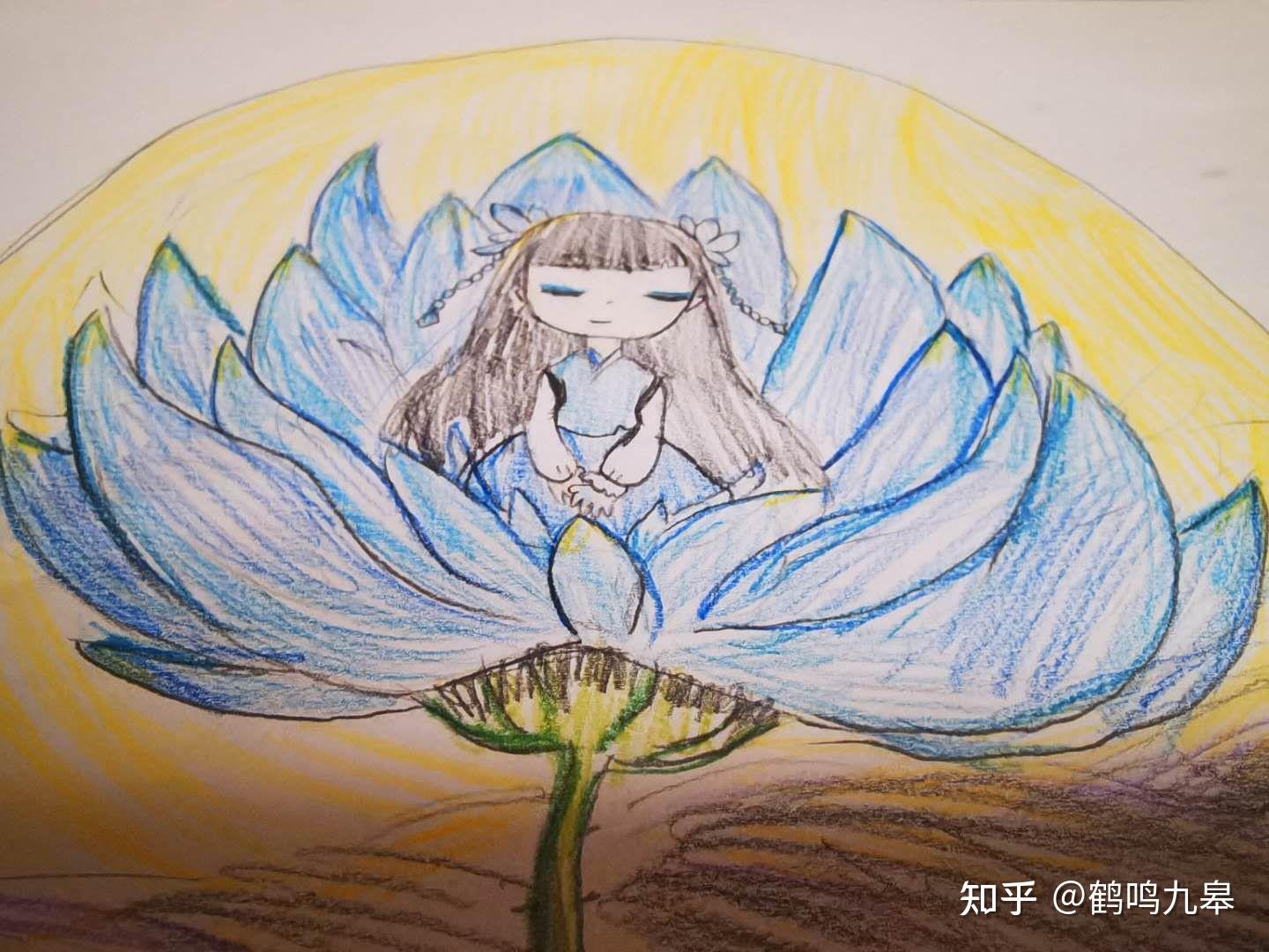 许愿仙子 - 知乎