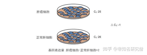 干货 如何选择pcr 相对定量的内参基因 知乎