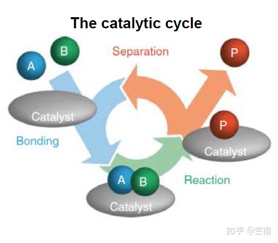 化学反应工程（5）-吸附与表面催化原理(Principles of sorption and catalysis)-基础催化概念 - 知乎