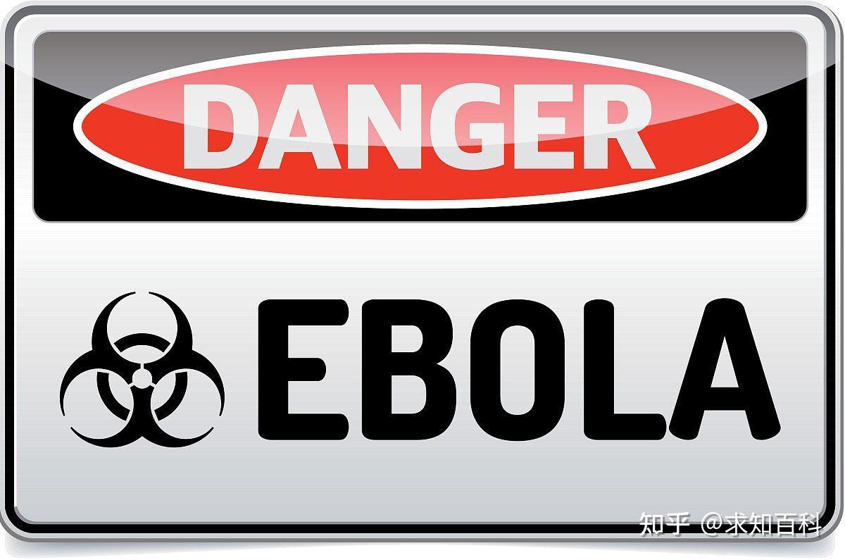 世卫组织总干事：该组织对刚果（金）埃博拉流行区局势恶化表示担忧 - 2018年12月29日, 俄罗斯卫星通讯社
