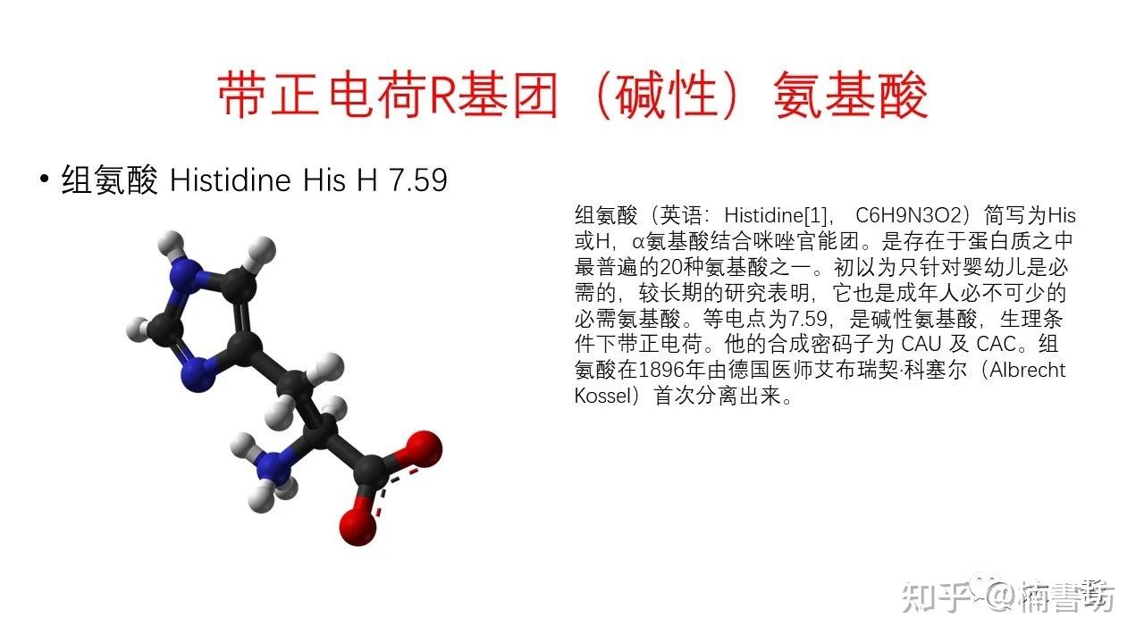 氨基酸结构式与分类 - 知乎