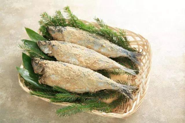 太平洋鲱穿越到江户时代投身鲱鱼产业的可行性研究