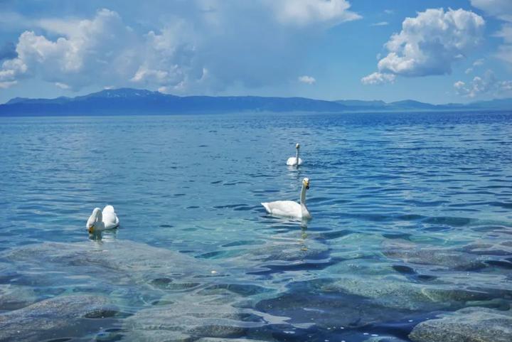 v2-091dae00cec426a81f9de4eebe803439_720w