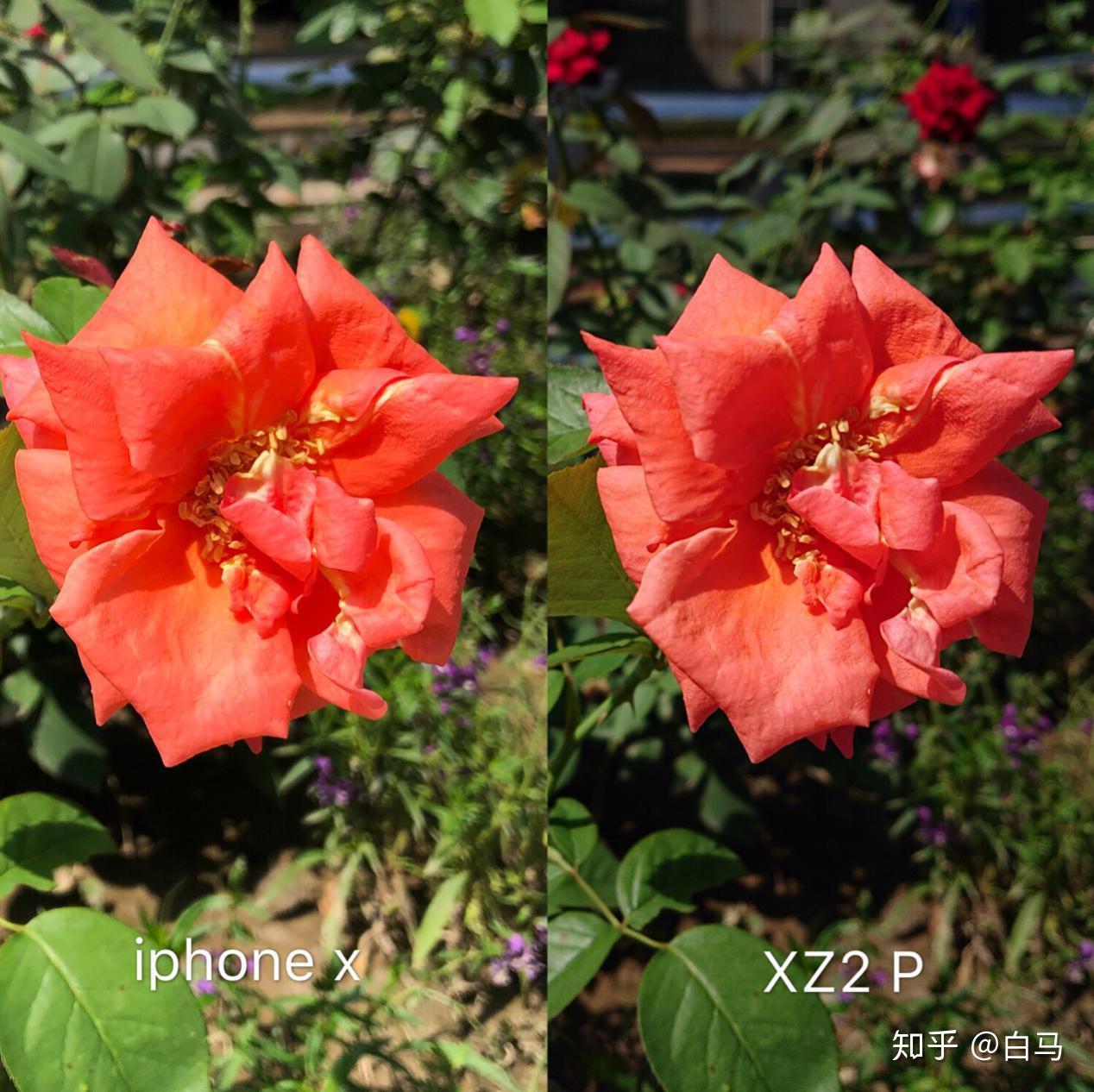 追求极致是否值得买单索尼xz2premium手机评测