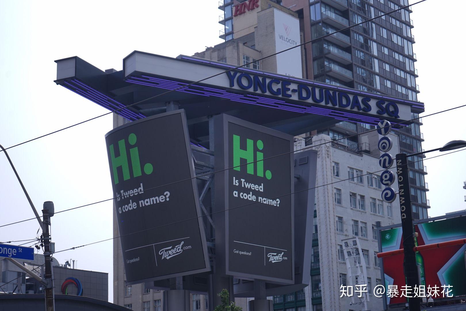 在加拿大多伦多感受音乐韵律,一定要参加一次精心筹备的yonge street