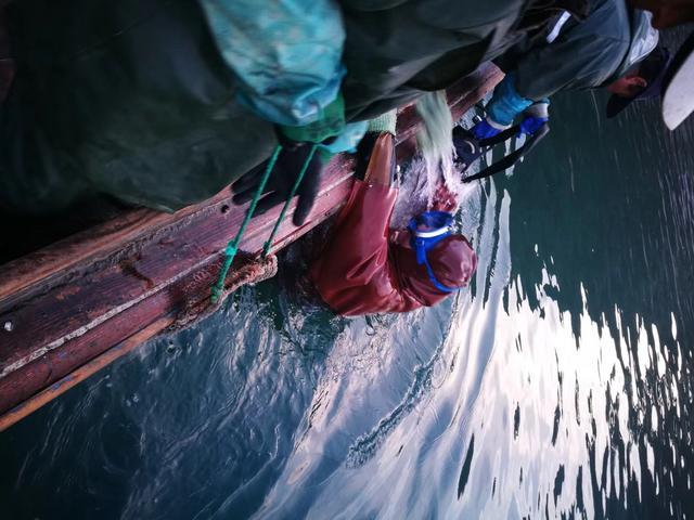 什么时候开始吃海参最好 v2-094b5c2587bdc16ea9f910ba0c2d28ae_r.jpg