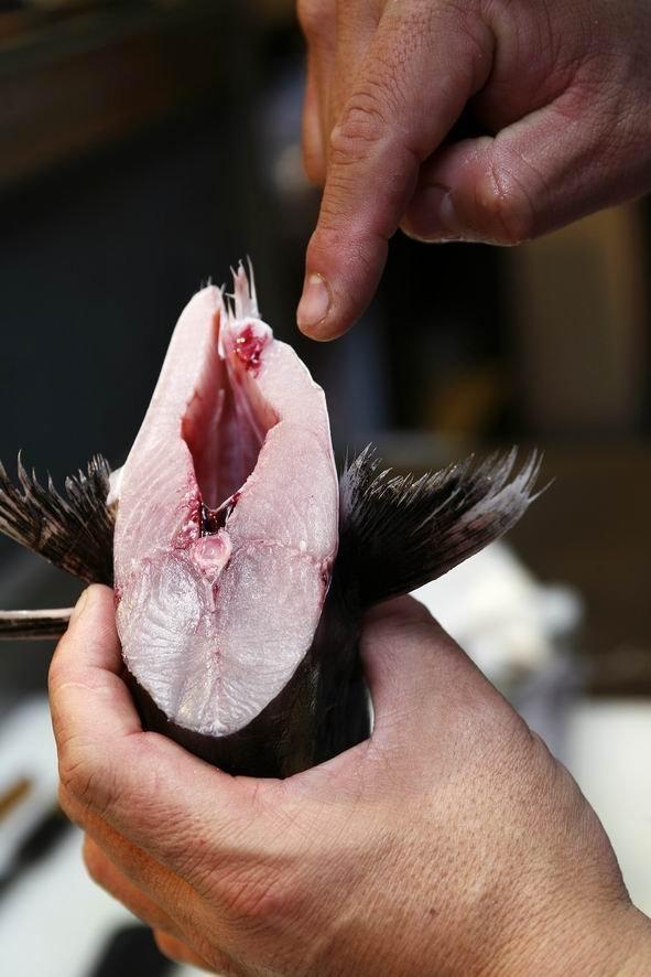 这只叫鰆的鱼最好吃的季节可能不是春天