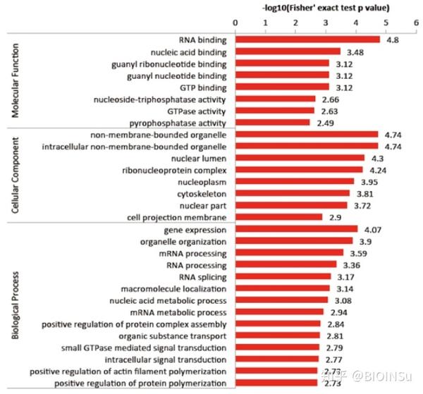基因富集分析|理解 - 知乎