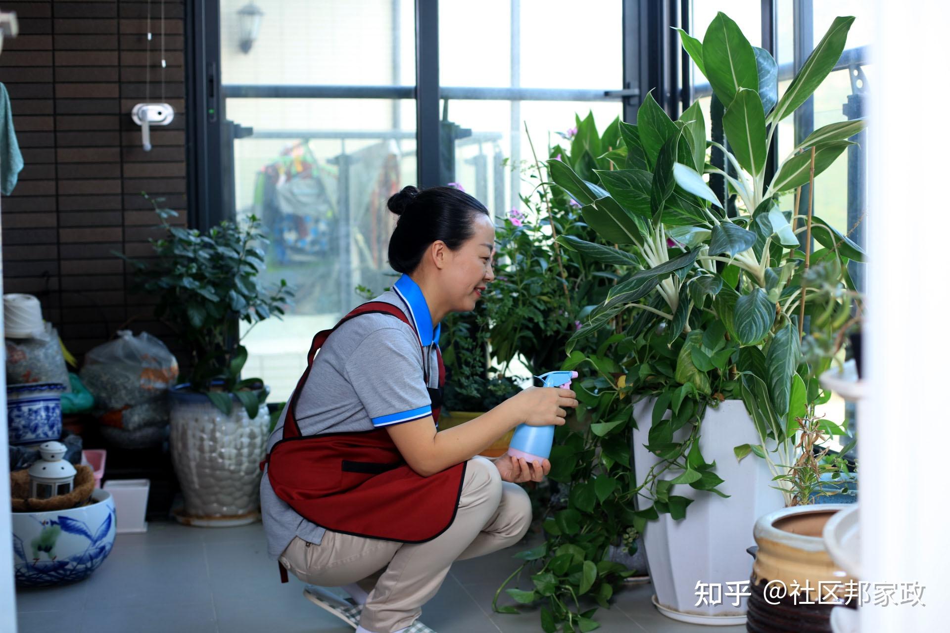 住家保姆照顧老人要遵守哪些職責個人素養和親和力最重要