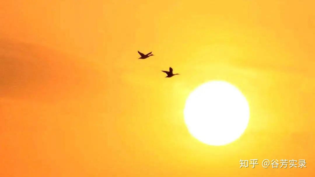 乐山大佛都在洗脚了你还记得起太阳啥样吗五行丙火