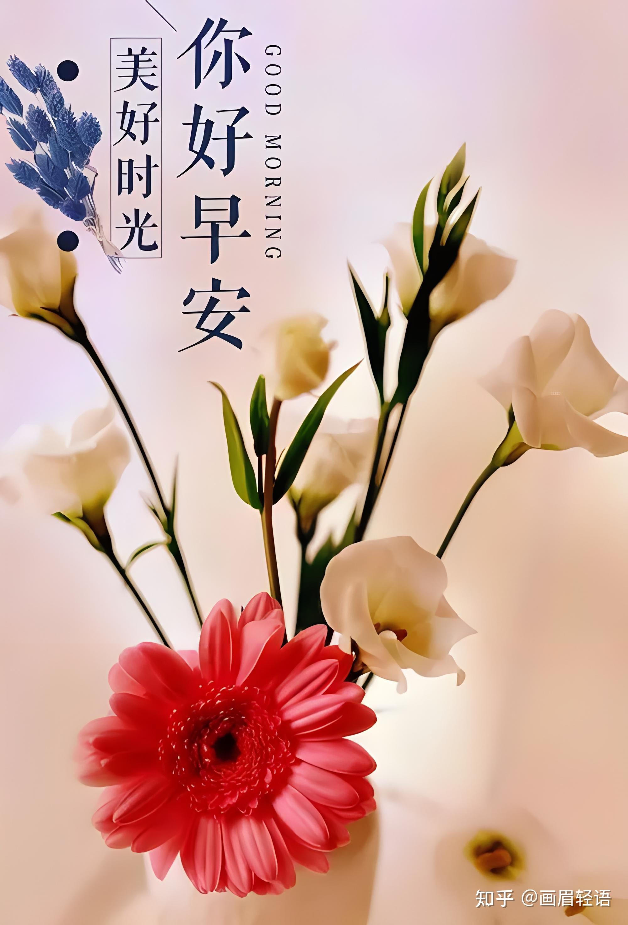 早安愿你心情最闪亮2024年二月初八的22句暖心祝福来袭